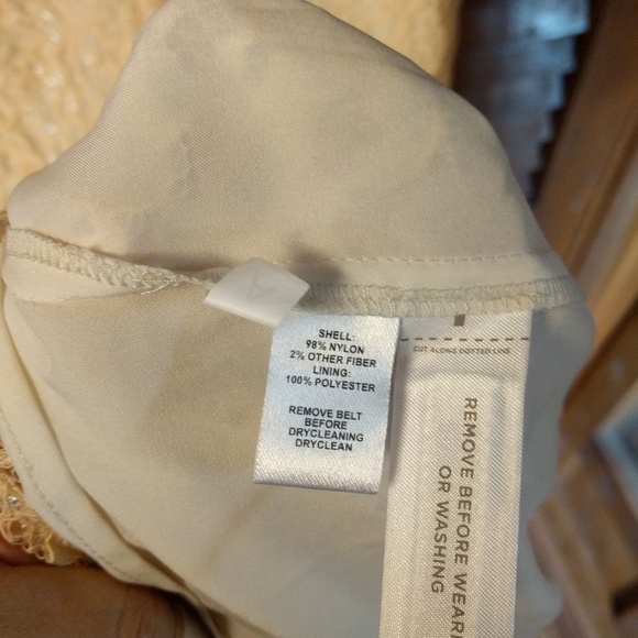 LOFT Peach Lace Dress with Metallic - Picture 5 of 5